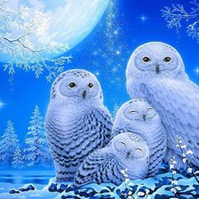 Схема вышивки «птицы»