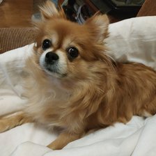 Схема вышивки «№1840799»