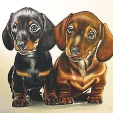 Схема вышивки «рисунок»