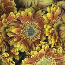 Схема вышивки «№1841162»