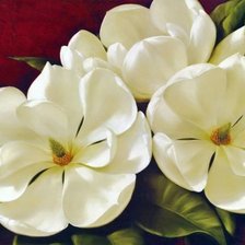 Схема вышивки «Белые магнолии 2»