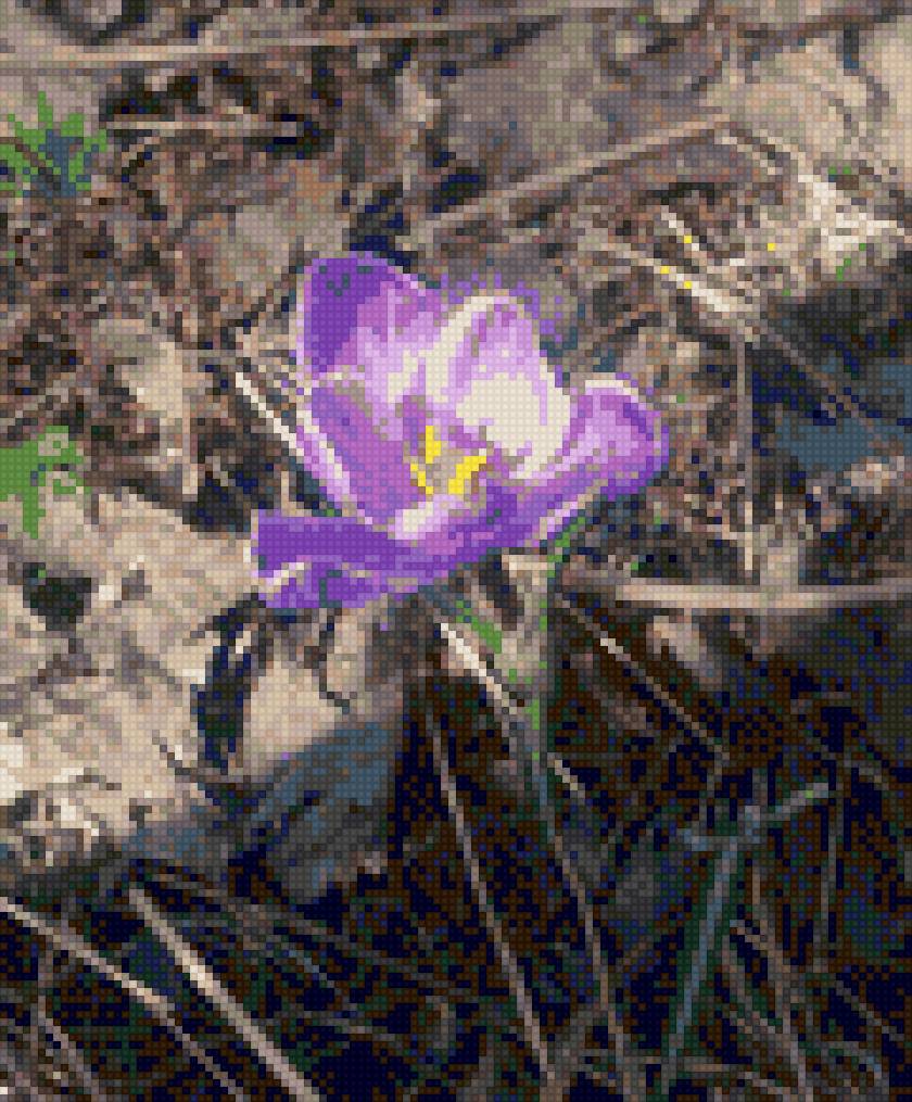 Весеннее пробуждение - цветы - предпросмотр