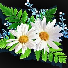 Схема вышивки «две ромашки»