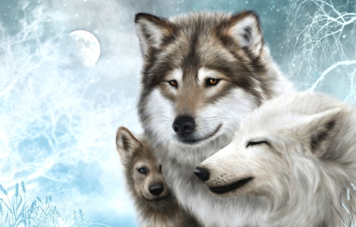 мир животных - мир животных - оригинал