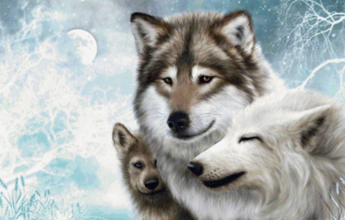 мир животных - мир животных - предпросмотр