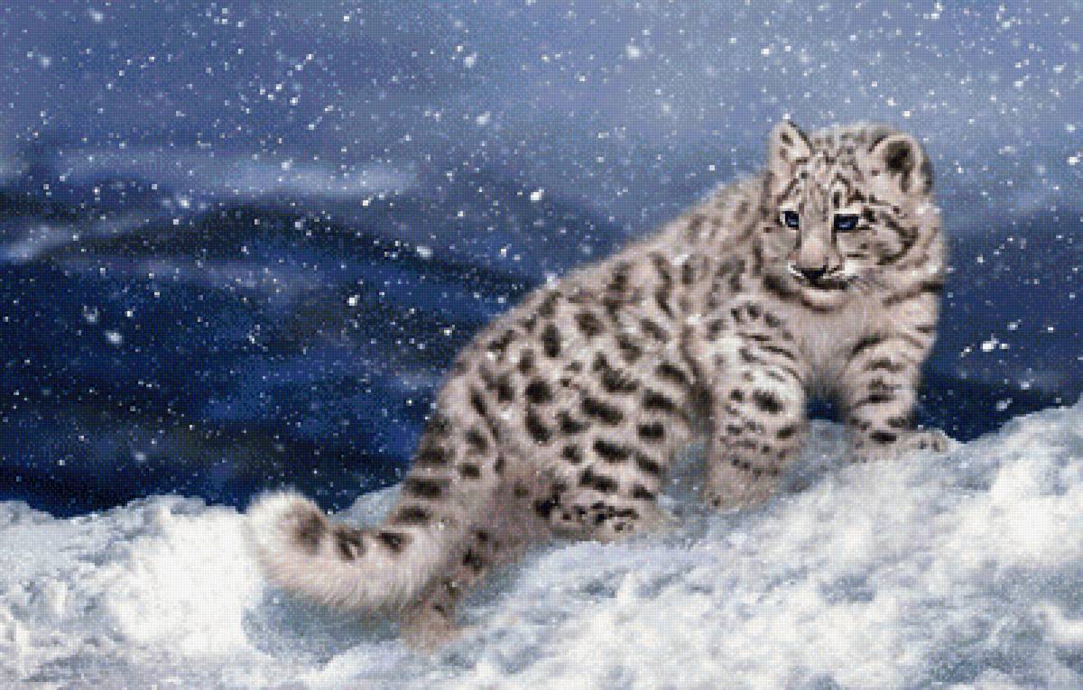 мир животных - мир животных - предпросмотр