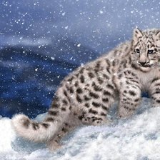 Схема вышивки «мир животных»