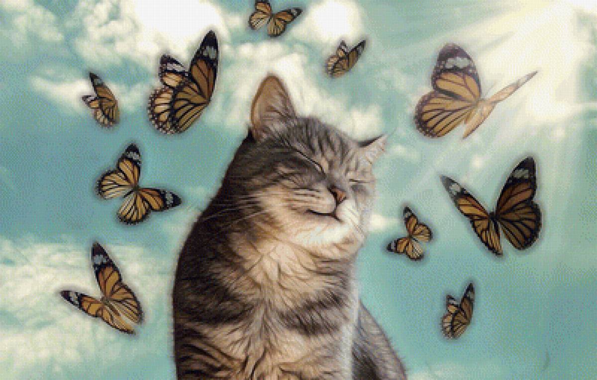 мир животных - мир животных - предпросмотр