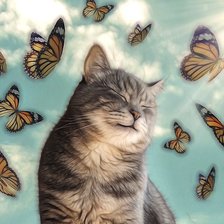 Схема вышивки «мир животных»