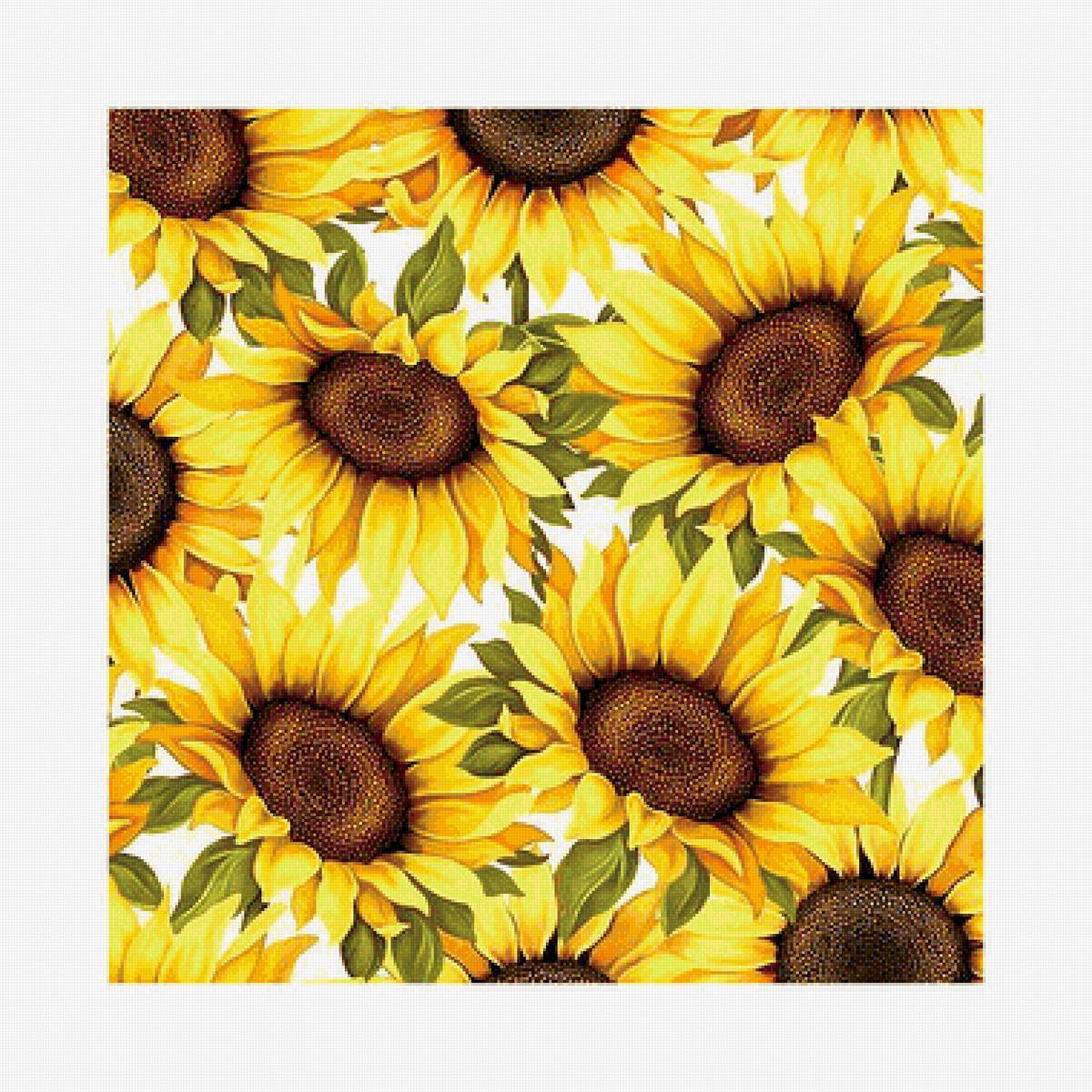 Серия "Подушки". Подсолнух - цветы, подушка, подсолнух - предпросмотр