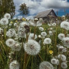 Схема вышивки «домик в деревне»