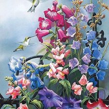 цветы и калибри