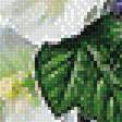 Предпросмотр схемы вышивки «натюрморт» (№1842087)