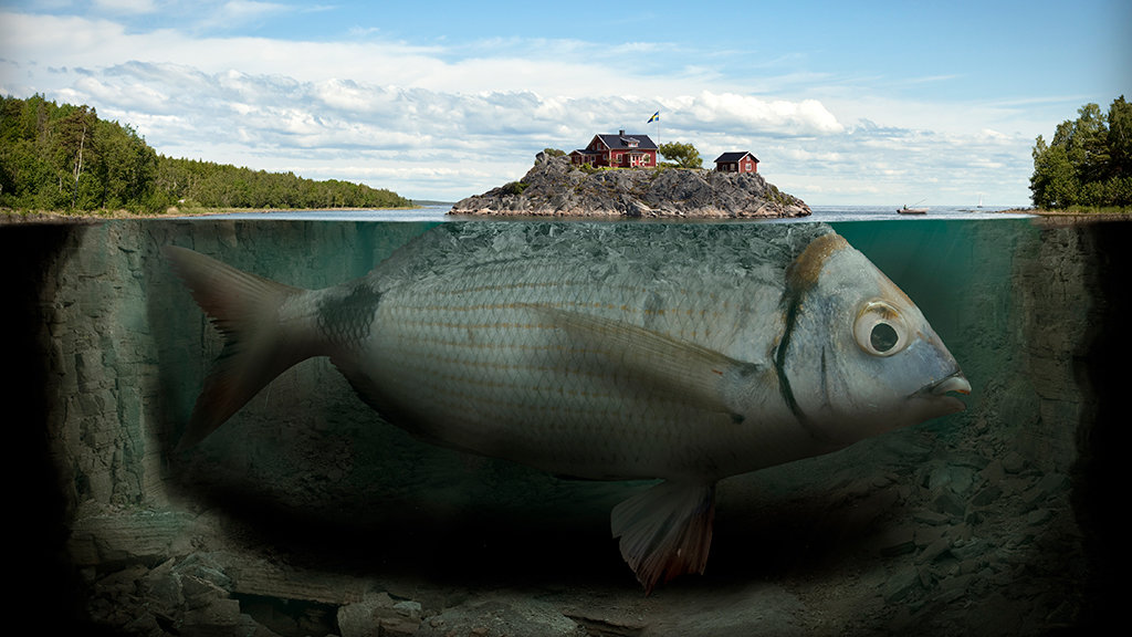 Модель жизни - рыба, вода, остров - оригинал