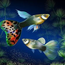 Схема вышивки «№1842521»