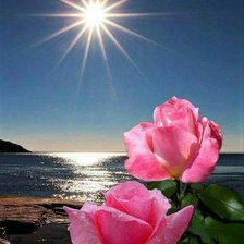 Схема вышивки «783060»