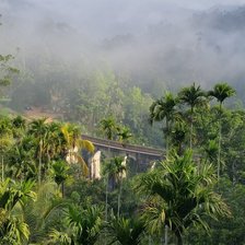 Схема вышивки «Утро на Цейлоне»