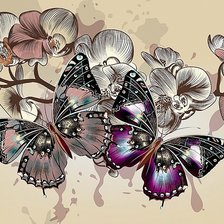 Схема вышивки «бабочки»