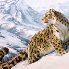 Схема вышивки «Снежный барс»