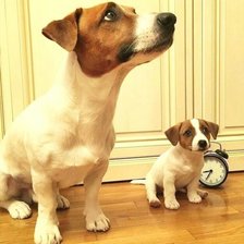 Схема вышивки «№1842956»