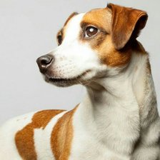 Схема вышивки «№1842958»