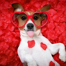 Схема вышивки «№1842962»