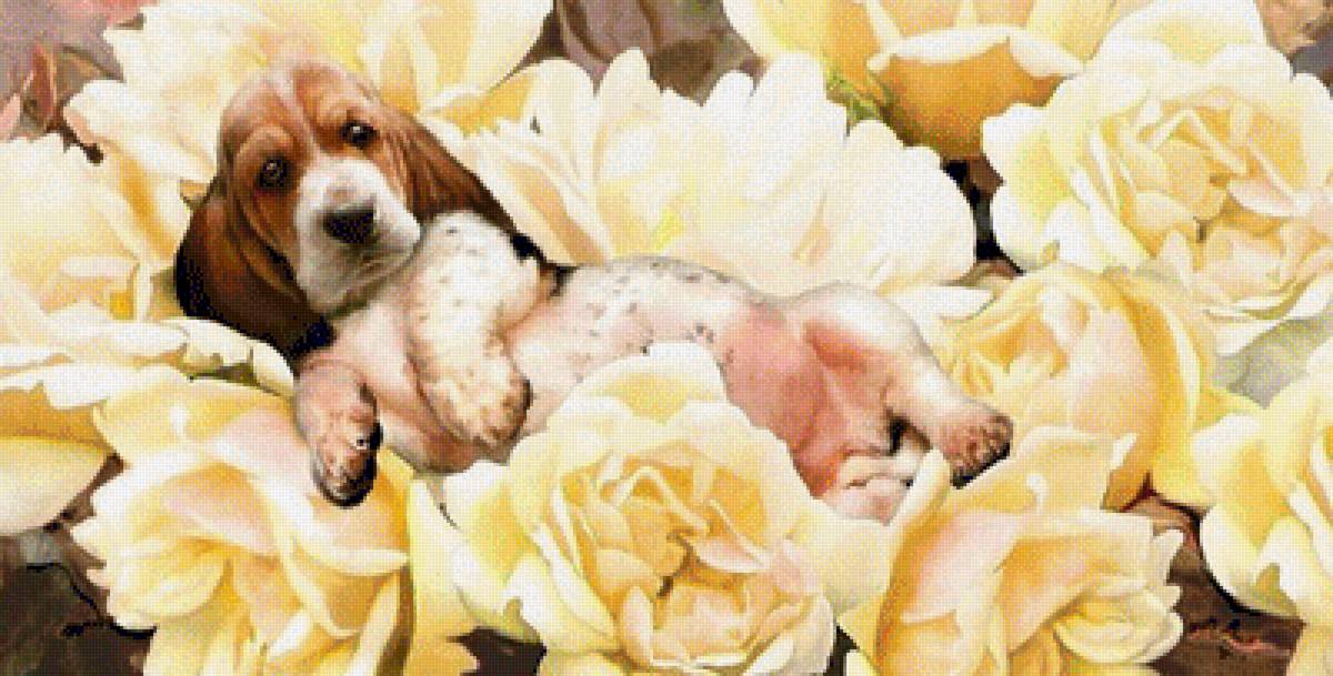 №1842963 - предпросмотр