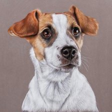 Схема вышивки «№1842964»