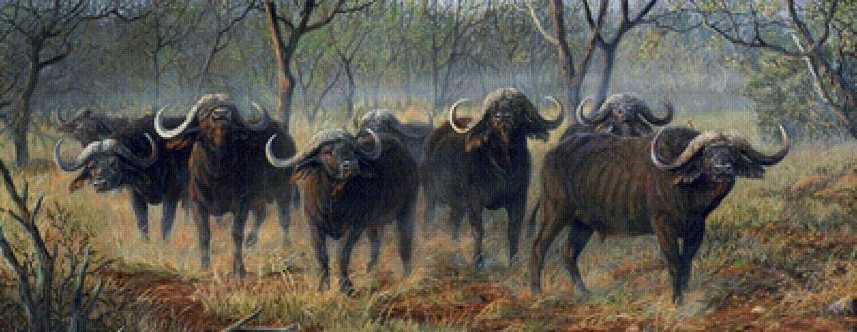 №1843151 - предпросмотр