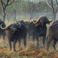 Схема вышивки «№1843151»