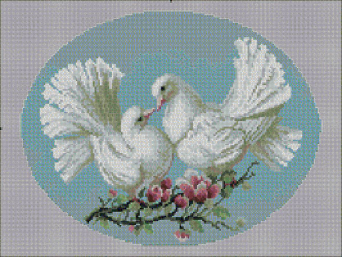 голуби - голуби - предпросмотр