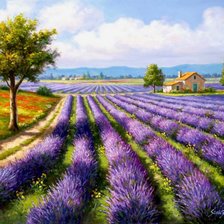 Схема вышивки «лавандовое поле»