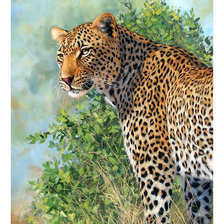 Схема вышивки «Серия "Хищники".»