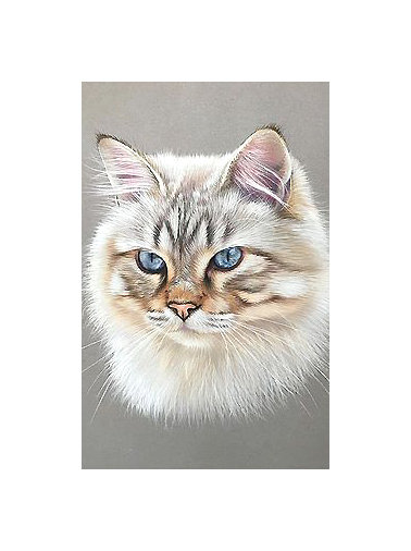 Серия "Коты". - коты, животные - оригинал