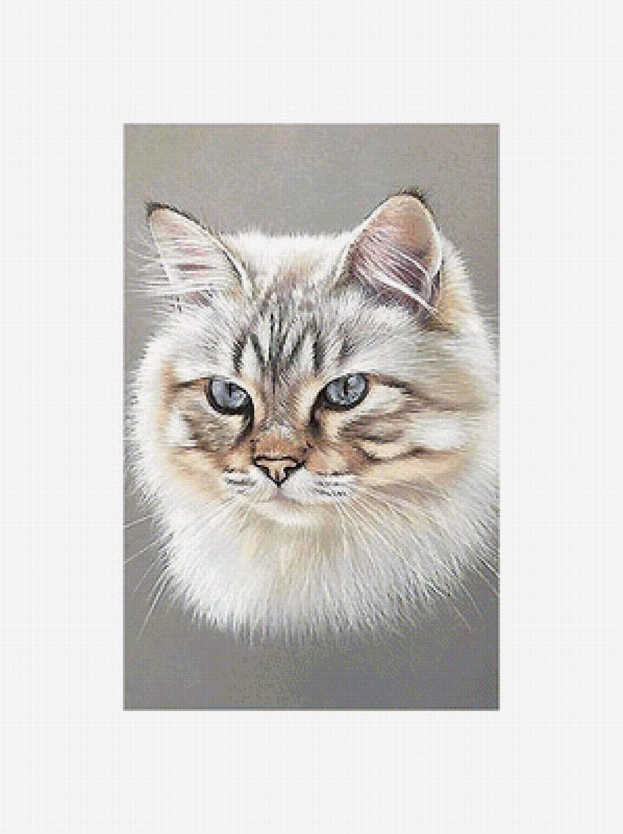 Серия "Коты". - коты, животные - предпросмотр