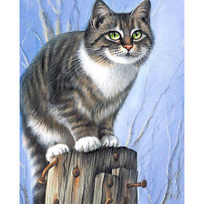 Схема вышивки «Серия "Коты".»