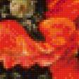Предпросмотр схемы вышивки «Прелестные маки» (№1843556)