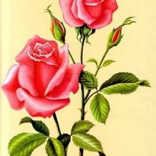 Схема вышивки «розы»