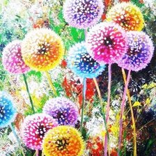 Схема вышивки «№1843653»