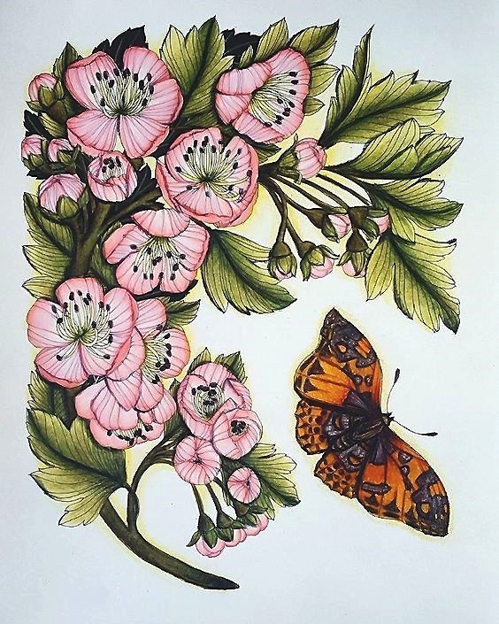 рисунок - оригинал