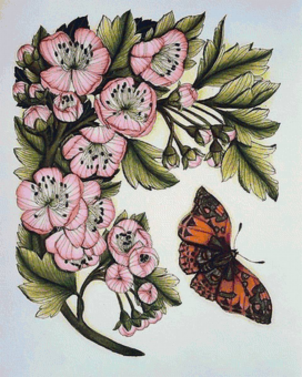 рисунок - предпросмотр