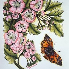 Схема вышивки «рисунок»