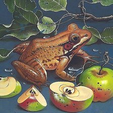 Схема вышивки «лягушка и яблоки»