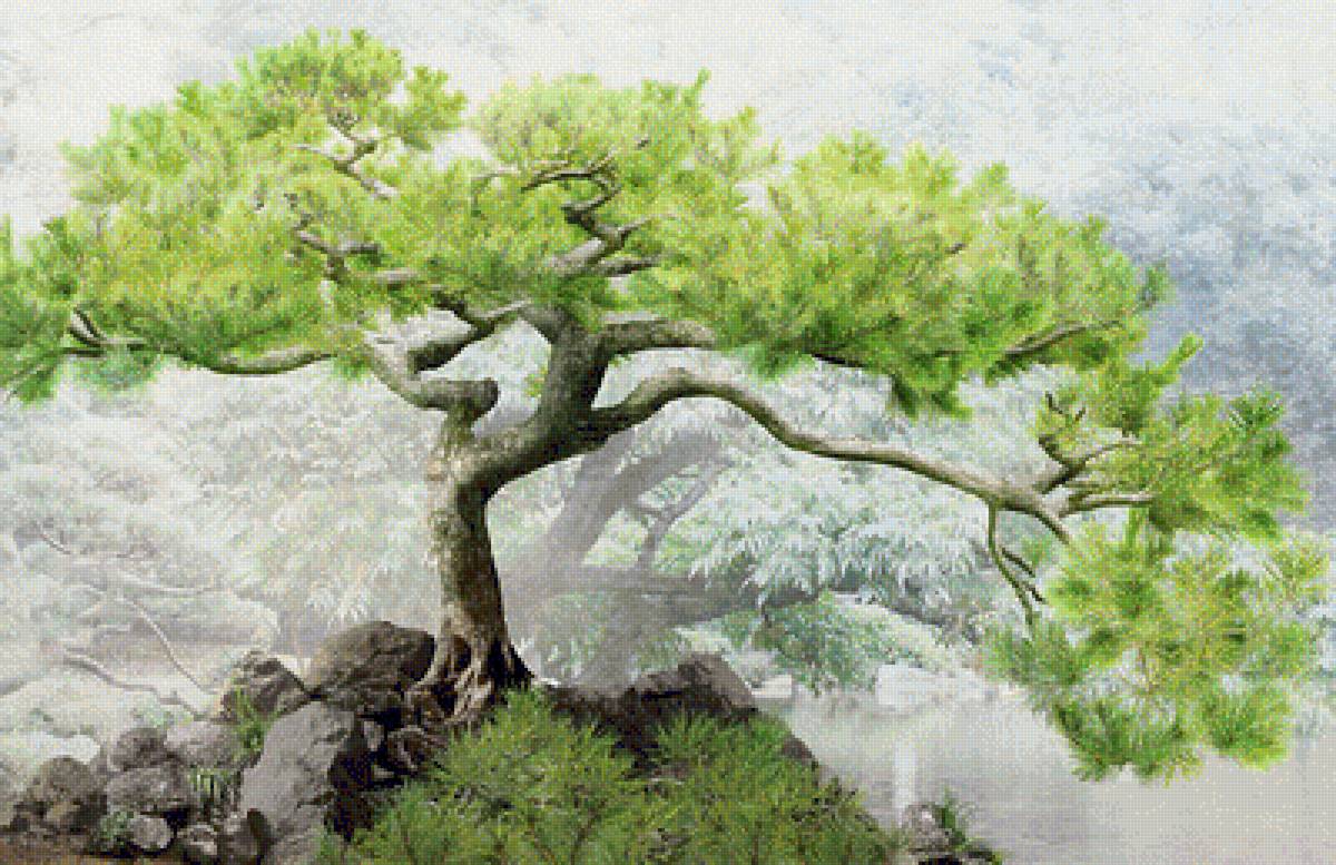 японский пейзаж, сосна - предпросмотр