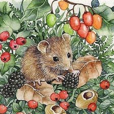 Схема вышивки «Детская»