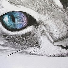 Схема вышивки «рисунок»