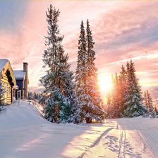 Схема вышивки «442»