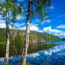 Схема вышивки «443»