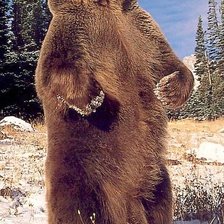 Схема вышивки «Михайло»