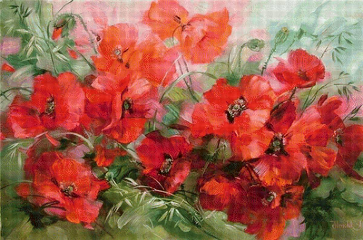 Маковое поле - цветы, маки - предпросмотр